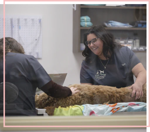 Dog at the vet clinic in Blairsville, PA